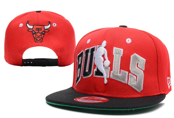 NBA Chicago Bulls NE Snapback Hat #312
